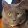catmurphy312